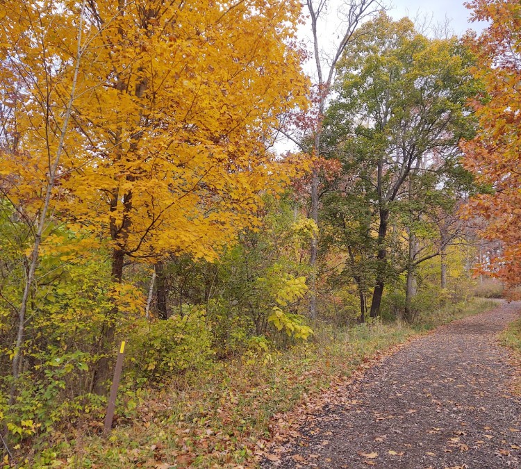 hickory-hill-conservancy-park-photo